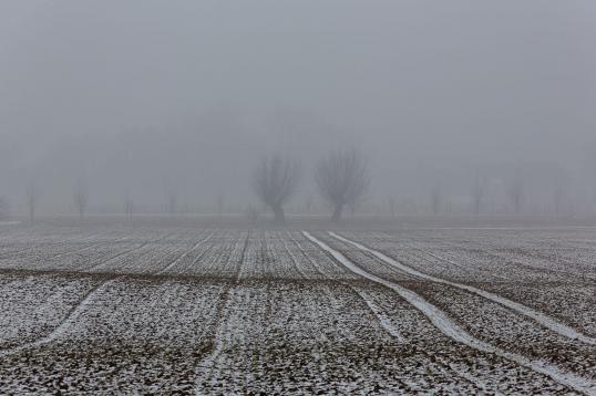 zachtaardig