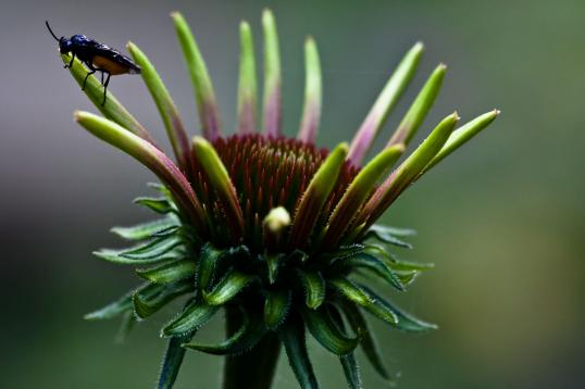Beeld van de week